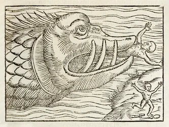 Monstrózní velryba požírající lidi, z roku 1550 vydání Cosmographia od Sebastiana Munstera